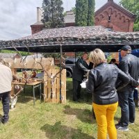 Zobacz w powiększeniu: Święto Parków Krajobrazowych Województwa Lubelskiego pod hasłem “Odkrywamy Pradolinę Wieprza” (9)